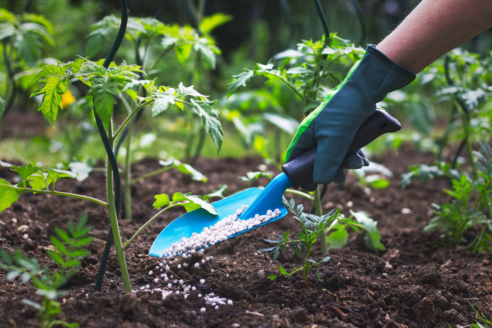 Benefits and Comparison of Organic Fertilizer