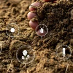 organic fertilizer and traditional fertilizer making process